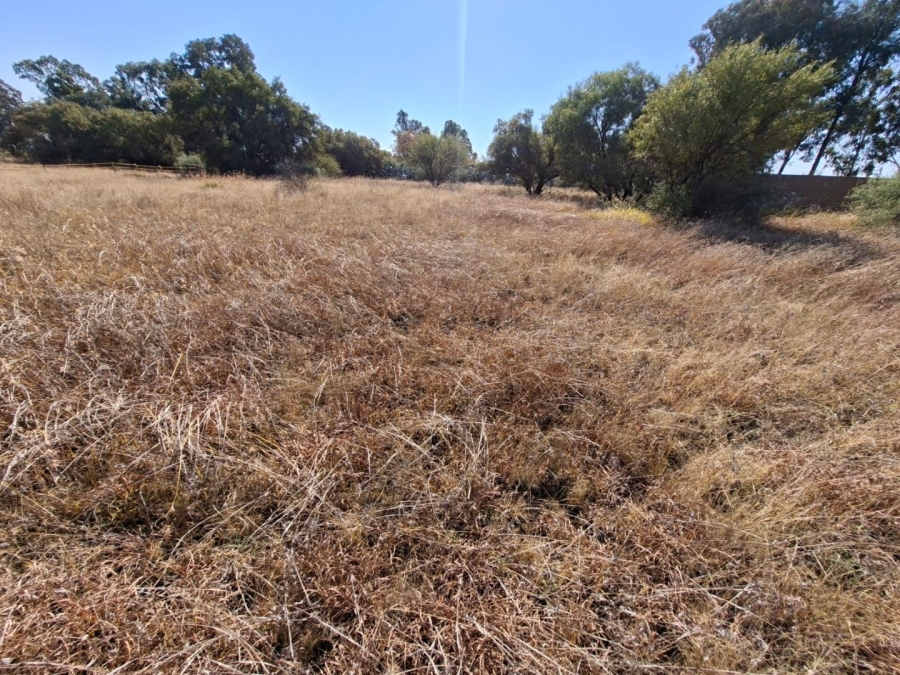 Commercial Property for Sale in Fairview Free State
